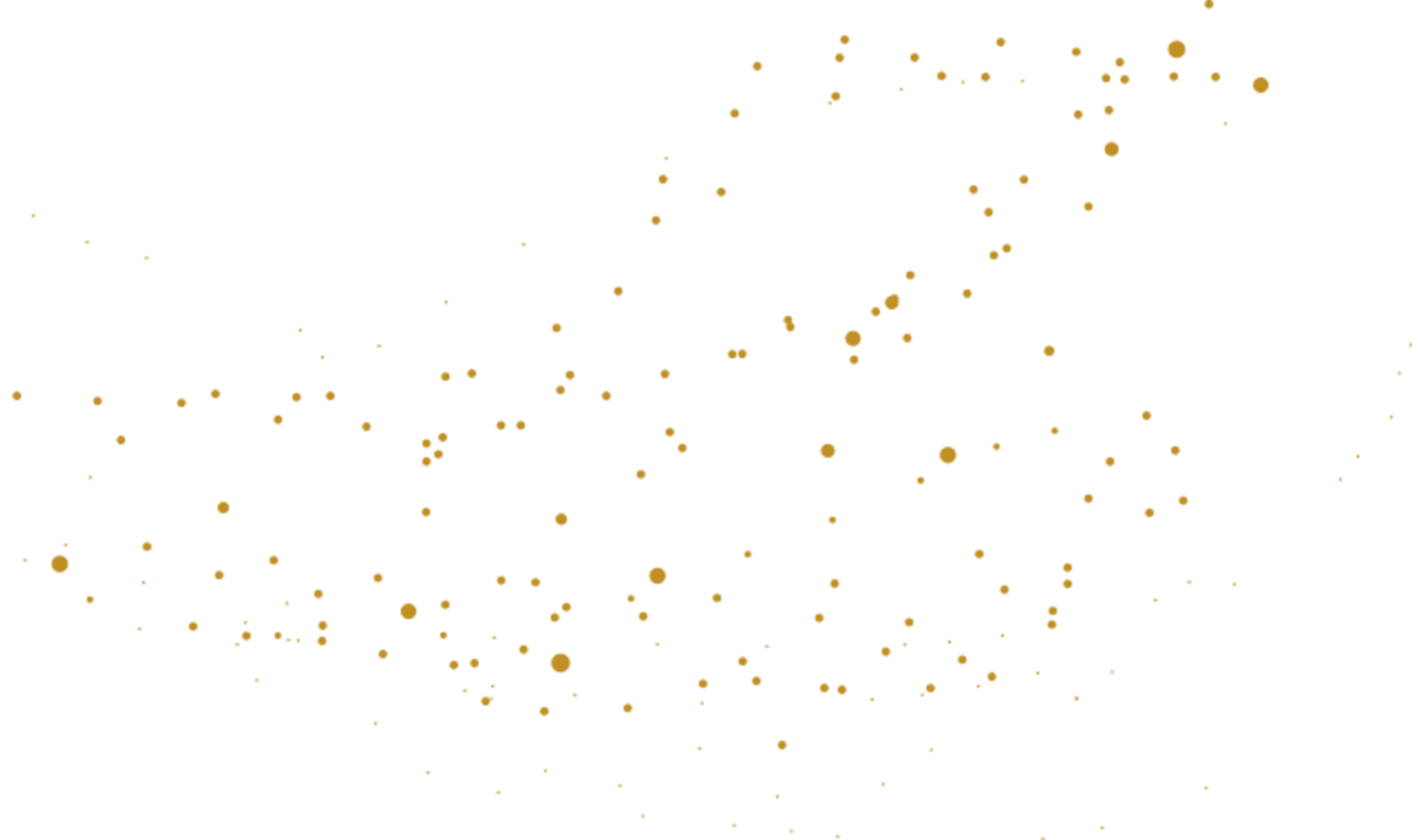 https://galeriedesfetes.com/wp-content/uploads/2020/12/floating_image_20.png